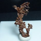 Cobre
2 x 1 cm.
(Autor: javier ruiz martin)