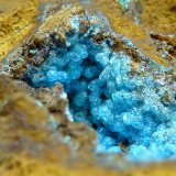 Alofana
4 x 4 cm.
(Autor: javier ruiz martin)