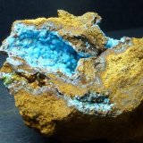 Alofana
4 x 4 cm.
(Autor: javier ruiz martin)