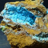 Alofana
4 x 4 cm.
(Autor: javier ruiz martin)