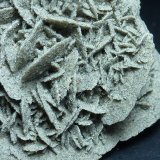 Yeso
4 x 4 cm.
(Autor: javier ruiz martin)