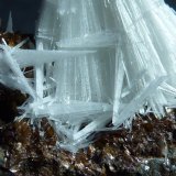 Celestina, Siderita
4 x 4 cm.
(Autor: javier ruiz martin)