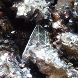 Yeso sobre Siderita
Enfoque 0,8 cm.
(Autor: javier ruiz martin)