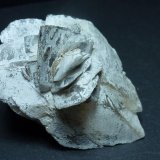 Calcita pseudomorfa de Glauberita
5 x 3 cm.
(Autor: javier ruiz martin)