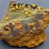 Mimetita, Beudantita
3 x 3 cm.
(Autor: javier ruiz martin)