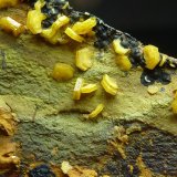 Mimetita, Beudantita
3 x 3 cm.
(Autor: javier ruiz martin)