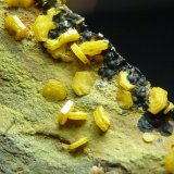 Mimetita, Beudantita
3 x 3 cm.
(Autor: javier ruiz martin)