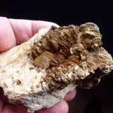 Muscovita, Albita
9 x 6 cm.
(Autor: javier ruiz martin)