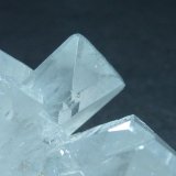 Celestina
6 x 4 cm.
(Autor: javier ruiz martin)