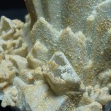 Celestina
5 x 4 cm.
(Autor: javier ruiz martin)