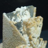 Celestina
5 x 4 cm.
(Autor: javier ruiz martin)