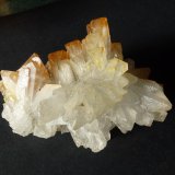 Celestina
10 x 7 cm.
(Autor: javier ruiz martin)