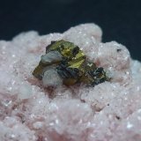 Rodocrosita, Calcopirita, Cuarzo
6 x 5 cm.
(Autor: javier ruiz martin)