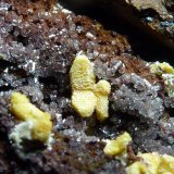 Mimetita, Calcita
4 x 4 cm. la pieza, 0,2 cm. el cristal mayor
(Autor: javier ruiz martin)