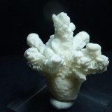 Calcita
5 x 4 cm.
(Autor: javier ruiz martin)