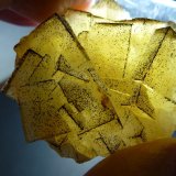 Fluorita, Pirita
5 x 5 cm.
(Autor: javier ruiz martin)