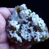 Fluorita, Calcita, Dolomita
8 x 6 cm.
(Autor: javier ruiz martin)