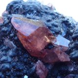 Rodocrosita, Goethita
5 x 5 cm. la pieza, 1,1 cm. el cristal mayor
(Autor: javier ruiz martin)
