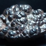 Hematites
7 x 4,5 cm.
(Autor: javier ruiz martin)