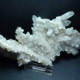 Celestina
15 x 7 cm.
(Autor: javier ruiz martin)