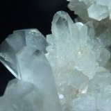 Celestina
15 x 7 cm.
(Autor: javier ruiz martin)