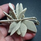 Yeso
6 x 6 cm.
(Autor: javier ruiz martin)