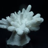 Aragonito
6 x 4,5 cm.
(Autor: javier ruiz martin)