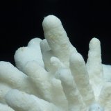 Aragonito
6 x 4,5 cm.
(Autor: javier ruiz martin)