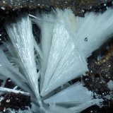Celestina, Siderita
12 x 7 cm.
(Autor: javier ruiz martin)