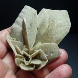 Yeso
7 x 4 cm.
(Autor: javier ruiz martin)