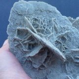 Yeso
11 x 8 cm.
(Autor: javier ruiz martin)