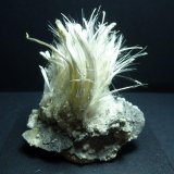 Halotriquita
5,5 x 4,5 cm.
(Autor: javier ruiz martin)