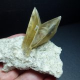 Yeso
6 x 6 cm.
(Autor: javier ruiz martin)