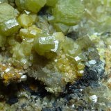 Piromorfita, Cuarzo, Goethita
Encuadre 2 x 2 cm.
(Autor: javier ruiz martin)