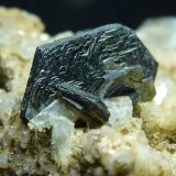 Hematites, Ortoclasa (variedad adularia)
6 x 4 cm. la pieza, 1 cm. el cristal
(Autor: javier ruiz martin)