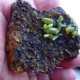 Piromorfita, Goethita, Cuarzo
6 x 5 cm.
(Autor: javier ruiz martin)