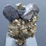 Galena, Pirita
5 x 4 cm.
(Autor: javier ruiz martin)