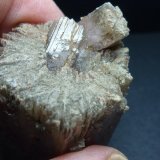 Aragonito
5 x 3,5 cm.
(Autor: javier ruiz martin)