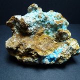 Alofana
6 x 4 cm.
(Autor: javier ruiz martin)