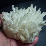 Cuarzo (variedad lechoso)
12 x 9 cm.
(Autor: javier ruiz martin)