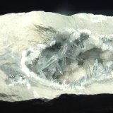 Celestina
7 x 5 cm.
(Autor: javier ruiz martin)