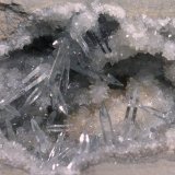 Celestina
7 x 5 cm.
(Autor: javier ruiz martin)