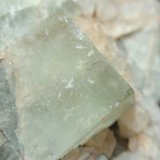 Fluorita
15x15 mm
(Autor: Ignacio)