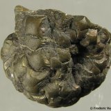 Pirita
2 x 2 x 1,7 cm
(Autor: Frederic Varela)