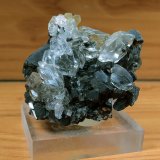 Yeso
6 x 6 cm.
(Autor: Pedro Antonio López)