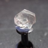 Fenaquita
10x8 mm
(Autor: Ignacio)