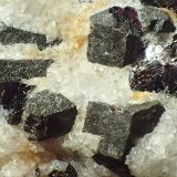 Galena, fluorita
C. V. 1,5 x 1 cm
(Autor: Frederic Varela)
