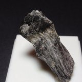 Magnesiocloritoide
15 x 35 mm.
(Autor: Ignacio)