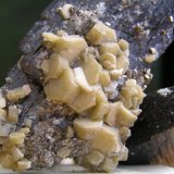 Siderita sobre Ferberita
Diámetro cristal mayor aprox 8 mm.
(Autor: Carlos J. Rodríguez)