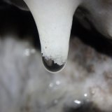 Calcita
Ancho en el plano de enfoque 1,5cm
(Autor: Eloi)